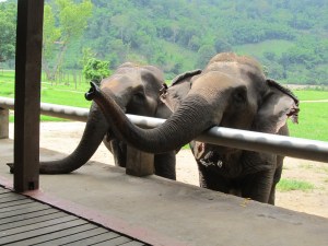 Ladies waiting for breakfast