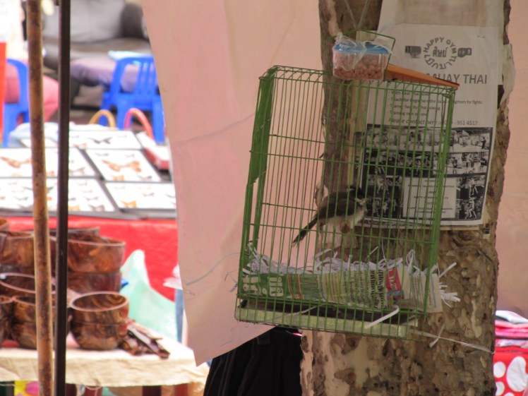 Anything and everything to be found at Thailand's markets