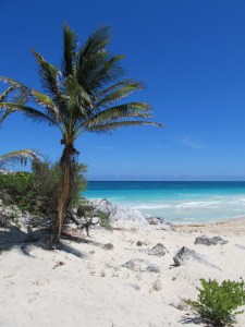 A perfect beach to be castaway on (Tulum, Riviera Maya).