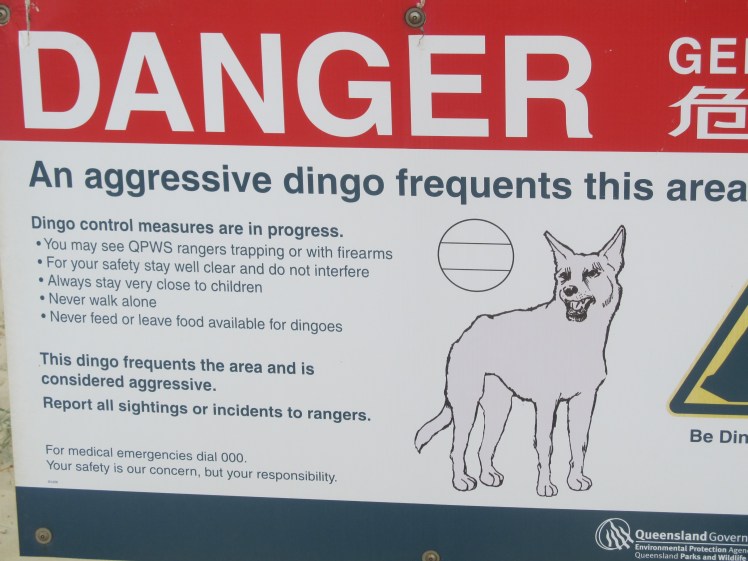 Did I mention how everything in Australia wants to hurt you?