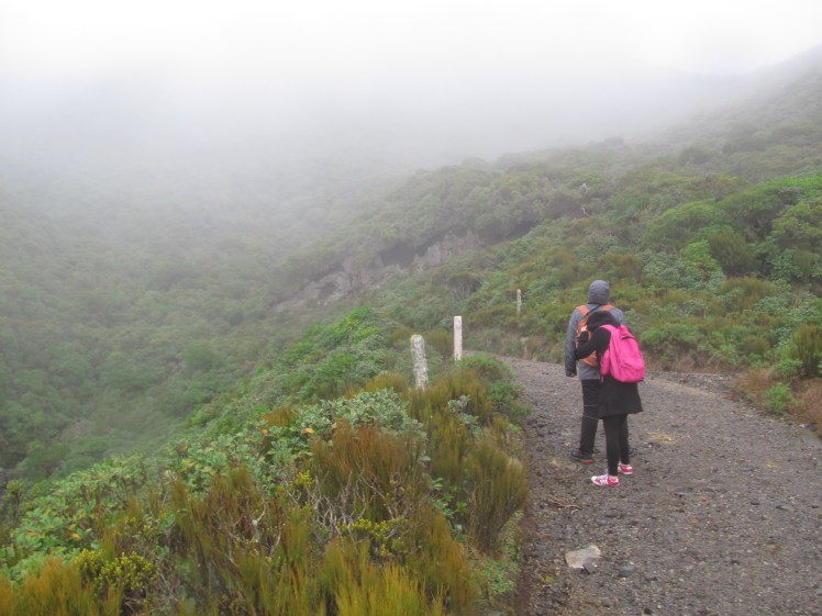 Hiking through clouds.