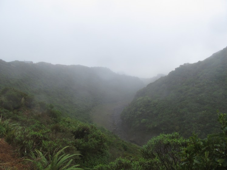The view from halfway up Taranaki.