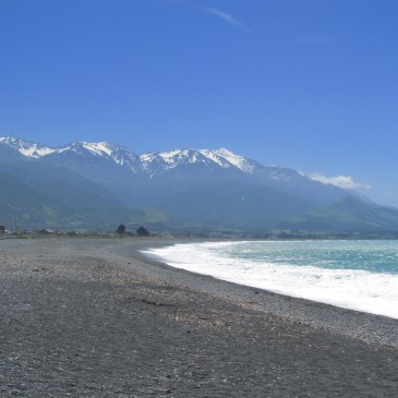 the stunning shores of Kaikoura.