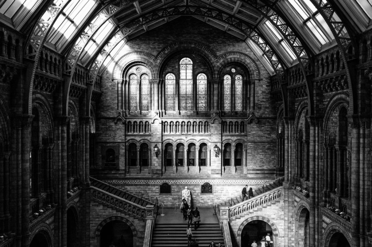 Inside the Natural History Museum via Morten Diesen @ Flickr
