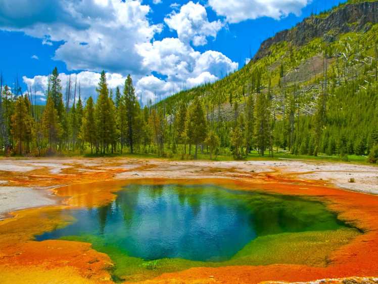 Vividly coloured mineral deposits in Yellowstone.