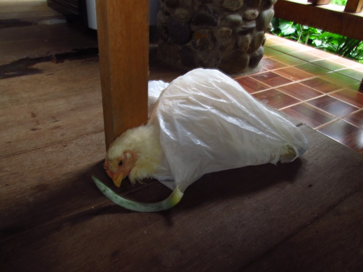 Belinda's fate was sealed.