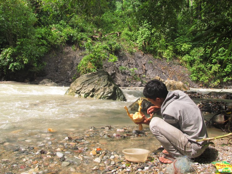 Belinda post-demise.Belinda post-demise.