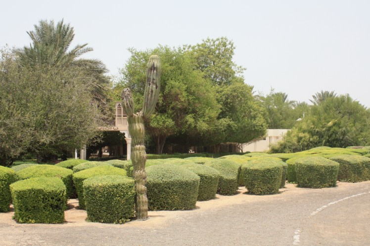 Creekside Park via Kathrin Mezger @ Flickr