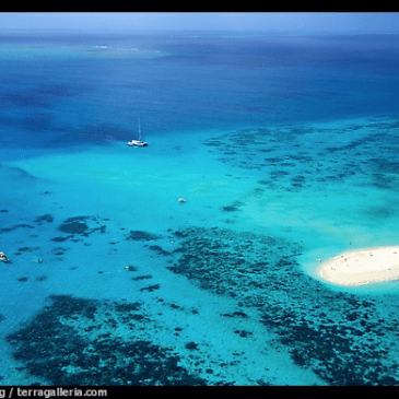 Great Barrier Reef (http://www.terragalleria.com).