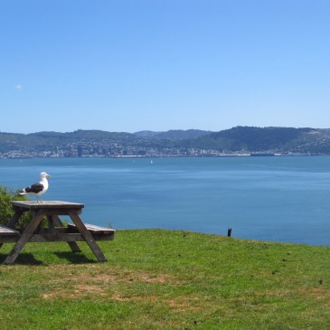 Finding that happy place.