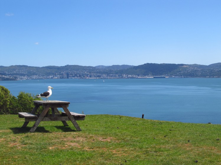 Finding that happy place.