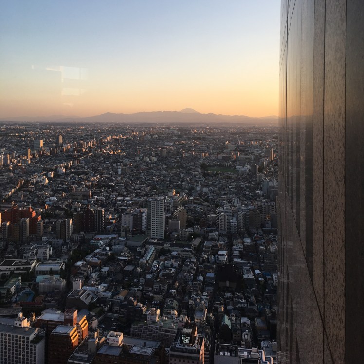 Views across Tokyo
